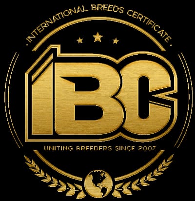 IBC